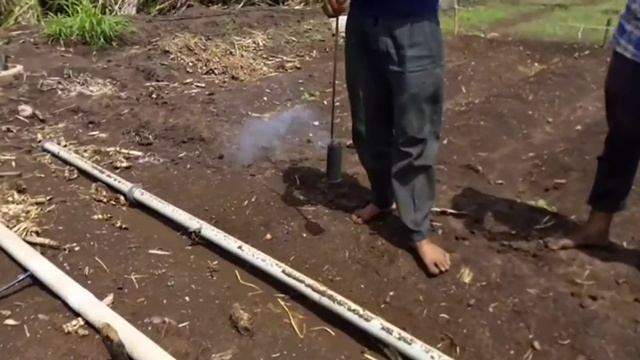 Ridge gourd farming cultivation idea and tips смотреть онлайн