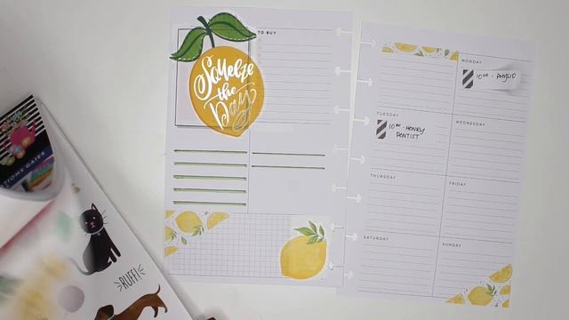 PLAN WITH ME Mini Happy Planner Dashboard: July 29 - Aug 4, 2019 смотреть онлайн