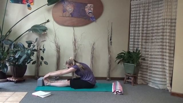 Stretch, Strength, Balance, Endurance Yoga Flow