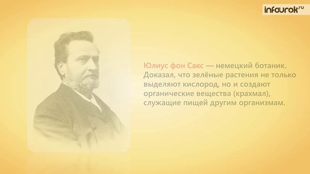 33. Фотосинтез смотреть онлайн