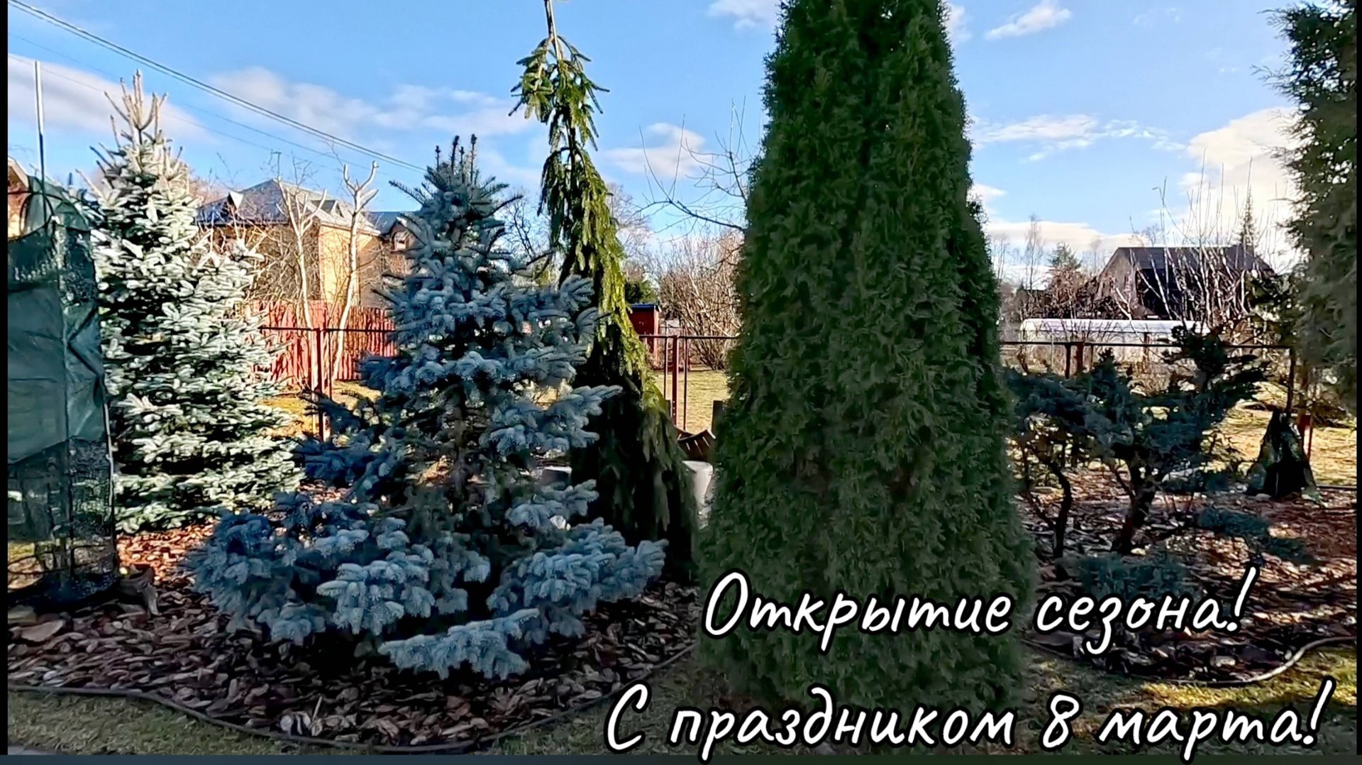 С праздником, 8 марта мои садовые феи💗🌈💐Открытие сезона!🔥Новиночки хвойных!Обзор сада! 8 марта 2 смотреть онлайн