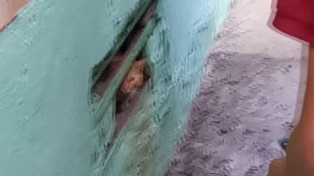 не такие мы уж и плохие смотреть онлайн