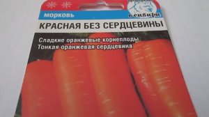 Морковь  Красная  Семена