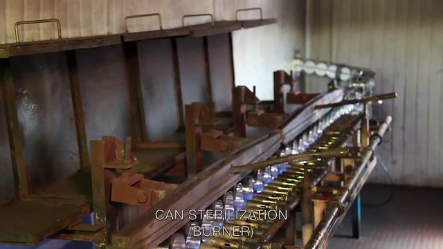 Condensed Milk Manufacturing