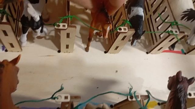 обзор на мой КСК смотреть онлайн