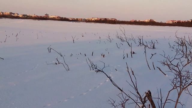 Вечерняя прогулка смотреть онлайн