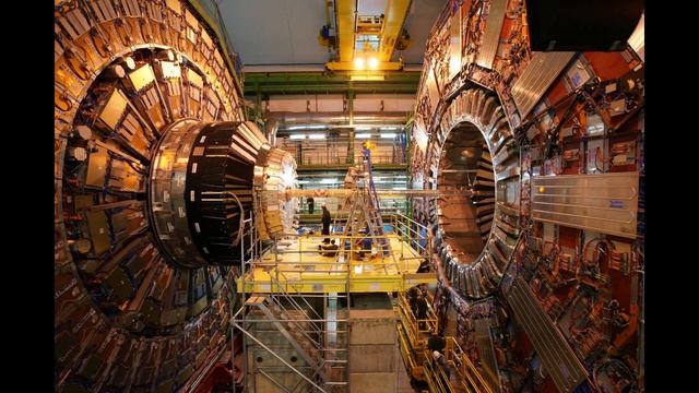 грустный или смешной мем про собаку.