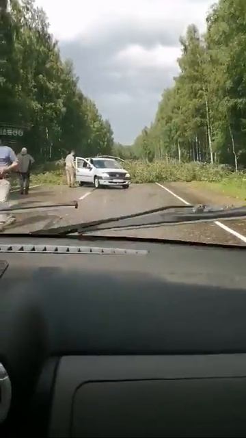 Сейчас на трассе Нерехта-Кострома, за Космыниным (15.07.2020) смотреть онлайн