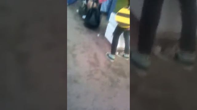 Проникли на вк фест!!! смотреть онлайн