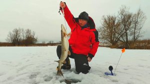 РЫБАЛКА НА ЖЕРЛИЦЫ ВЕСНОЙ. Закрытие сезона