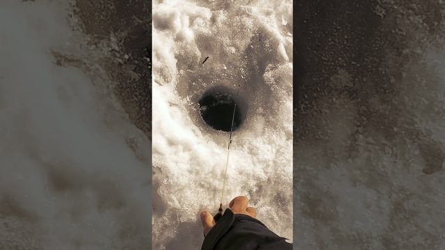 Необычная зимняя рыбалка смотреть онлайн