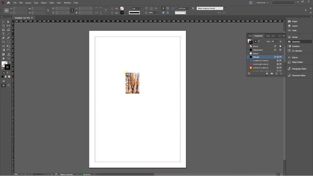 Adobe indesign tutorials in tamil Class 3 | Shape and Image | Image properties explanation смотреть онлайн
