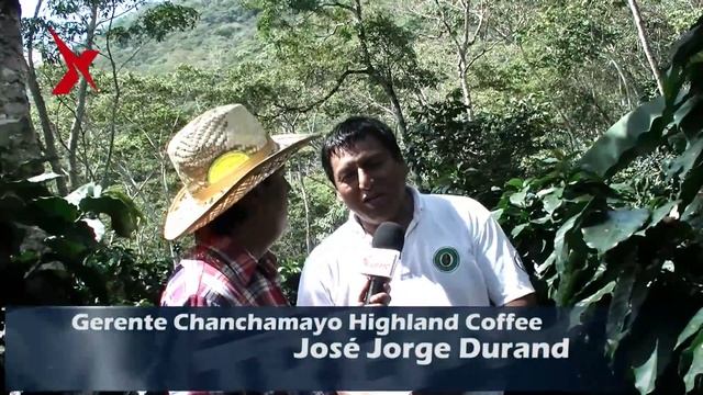 TIEMPO XTREMO N° 75 (bloque 4) / CHANCHAMAYO CAFÉ Y LA SUBASTA INTERNACIONAL