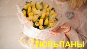 Шикарная песня - Жёлтые тюльпаны