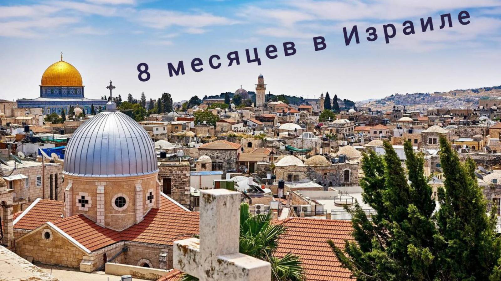 8 месяцев  в Израиле,  в полной безопасности! Отзыв клиента