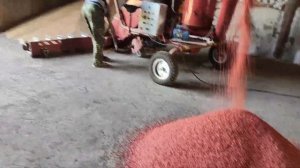 Протравливание семян озимой пшеницы | Подготовка к посевной 2023