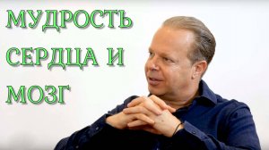 Подключение вашего сердца к мозгу Джо Диспенза.