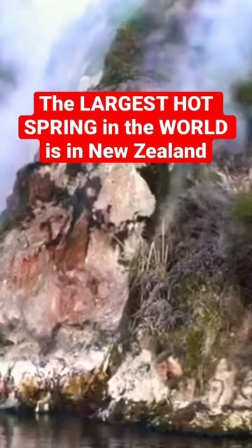 The Largest Hot Spring in the WORLD is in New Zealand #shorts