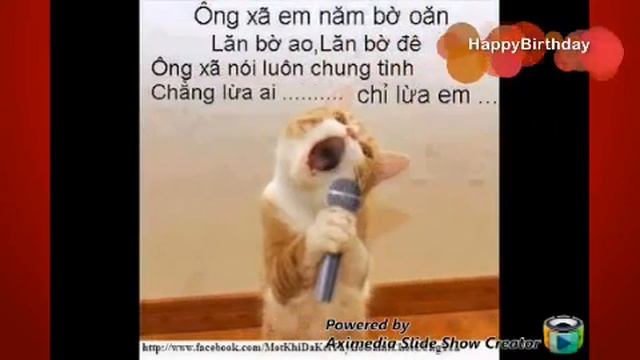 ck iu_happy birthday(ck oi..co gang len naz..vk iu ck) смотреть онлайн