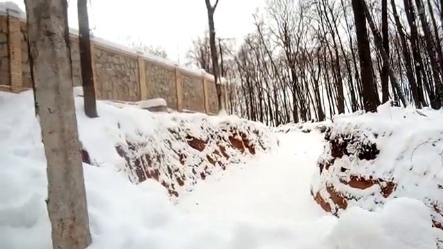 В Самаре на берегу Волги вырубают лес