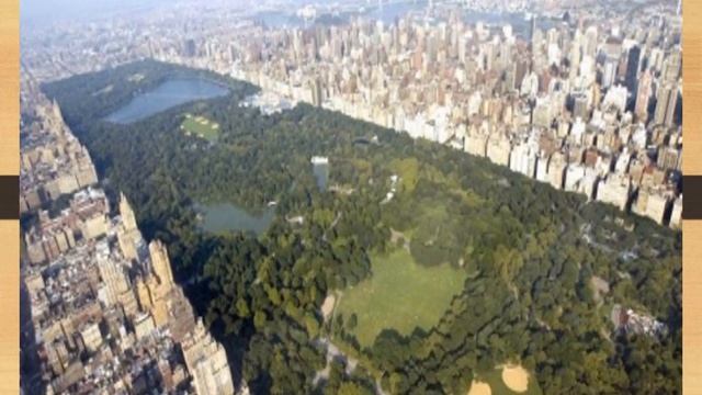 Ночная Америка. смотреть онлайн