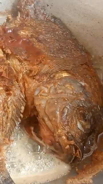 #asmr #asmrsounds of frying huge fish 🐠 🤤 #shorts #viral #viralshorts #crispy #trending #ytshorts смотреть онлайн