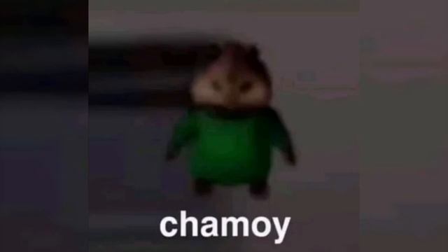 chamoy meme смотреть онлайн