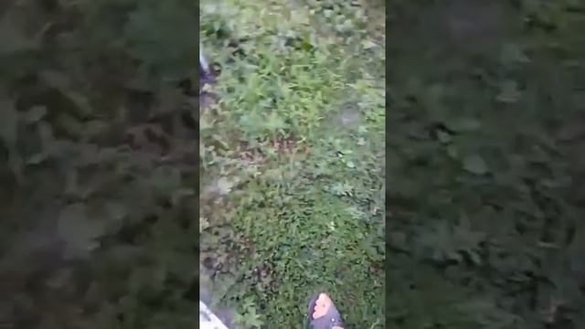 Главный взяток смотреть онлайн