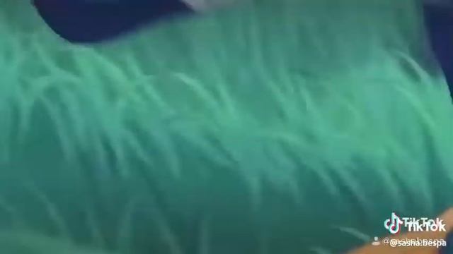 #Наруто #тик ток #видео с тик тока