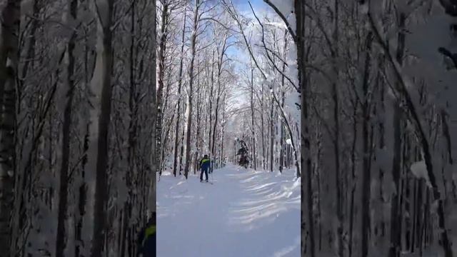 Губаха. Спуск по лесной трассе смотреть онлайн