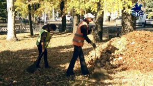 Почему нельзя жечь листву