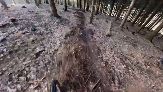 FREERIDE LIFESTYLE 2021//Hardcore Hardtail//Ragley Marley смотреть онлайн