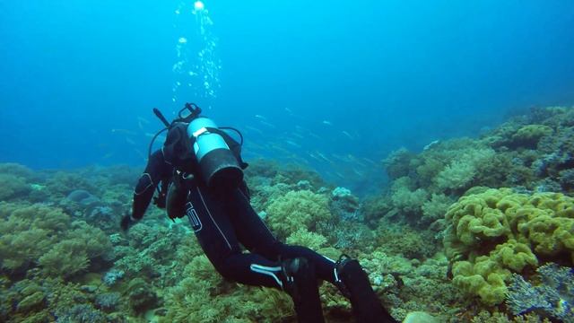 4k Diving in Okinawa, Japan (Sunabe Sea Wall) смотреть онлайн