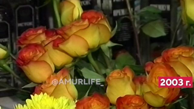 Роза в целлофане. В 2003 она была классикой, а не мемом смотреть онлайн