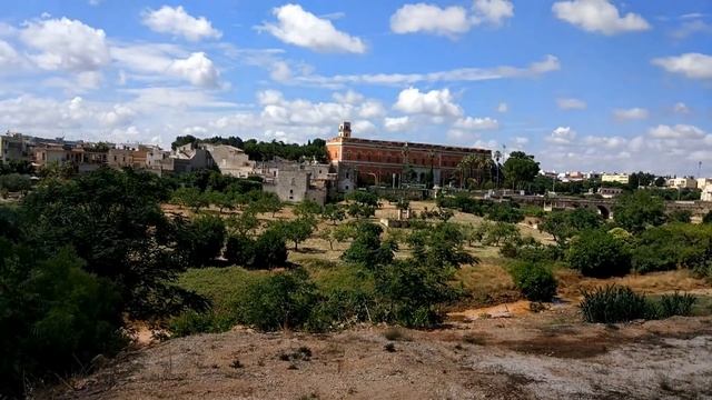 ВЛОГ  ФОТОСЕССИЯ. ЯЗЫКОВАЯ ШКОЛА