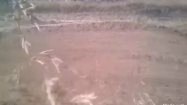 Мотокросс Сызрань (лучшее моё) смотреть онлайн