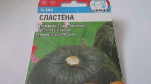 Тыква  Сластёна  Семена