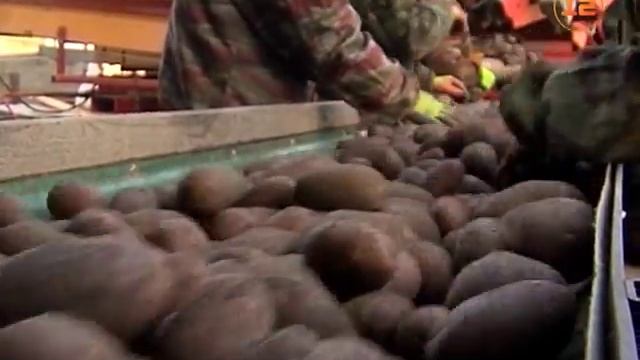 Уборочная страда завершилась в Республике Марий Эл