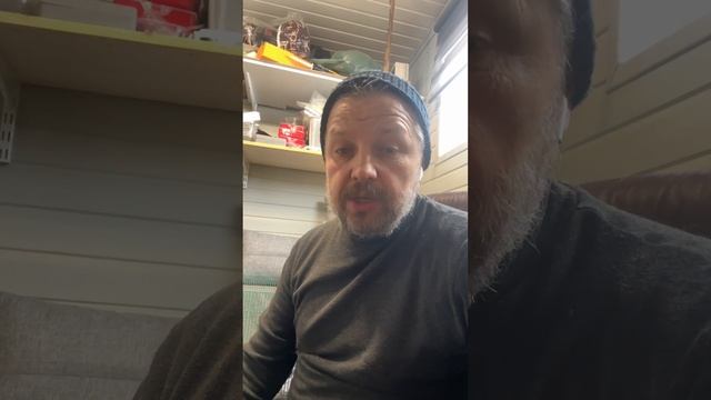 Лабрадор на свободном выгуле 🫣 смотреть онлайн
