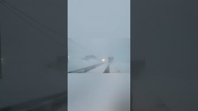 В благодаренье красота и сила... (стихотворение) смотреть онлайн