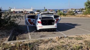 Dl Audio Gryphon Pro 165 Neo. Обзор, установка и прослушивание.