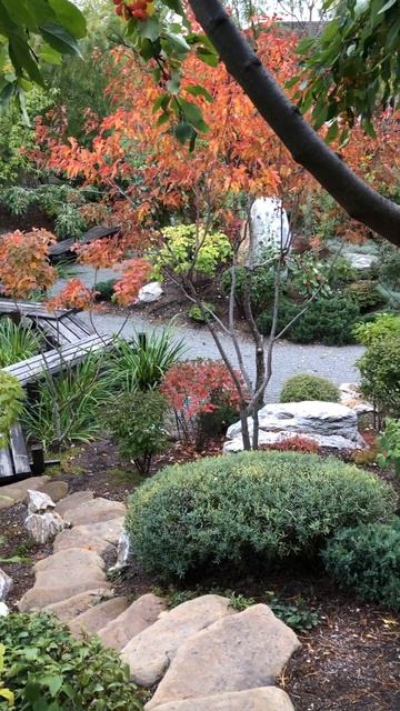 Краски осени в японском саду ● Проект "Ива парк" ●