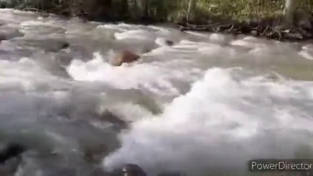 У горной речки.Жареная картошка с грибами