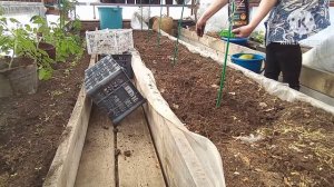 Мой огород в Сибири