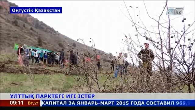 «Сайрам-өгем» ұлттық паркінде 2 мыңнан астам көшет отырғызылды