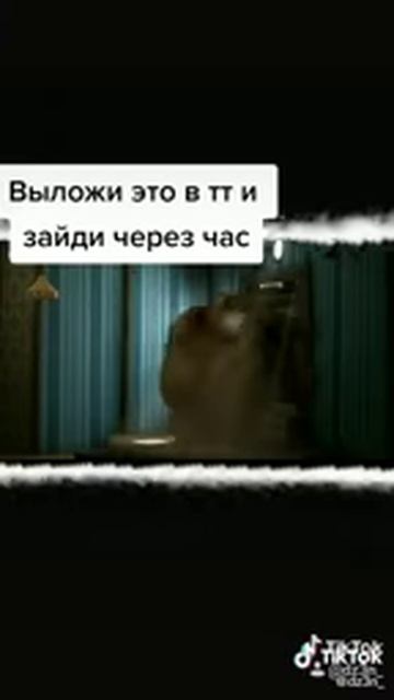 нюхай бебру я фанатка А4 смотреть онлайн
