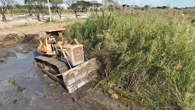Smart Operator Technique Skills Clearing Land Strong Power Old KOMATSU D65P Push Clearing Brush смотреть онлайн