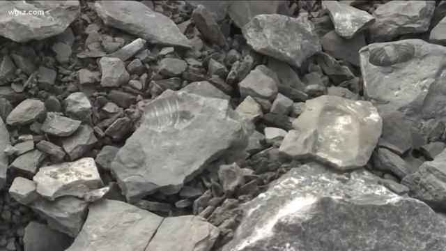 2 The Outdoors: Natural History Written In Stone