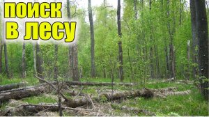 Коп по старине!Поиск находок в лесу!