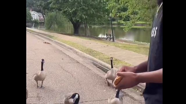 🚨 Pilar Sanders Had This To Say After Shilo Sanders Appeared On BMF ‼️